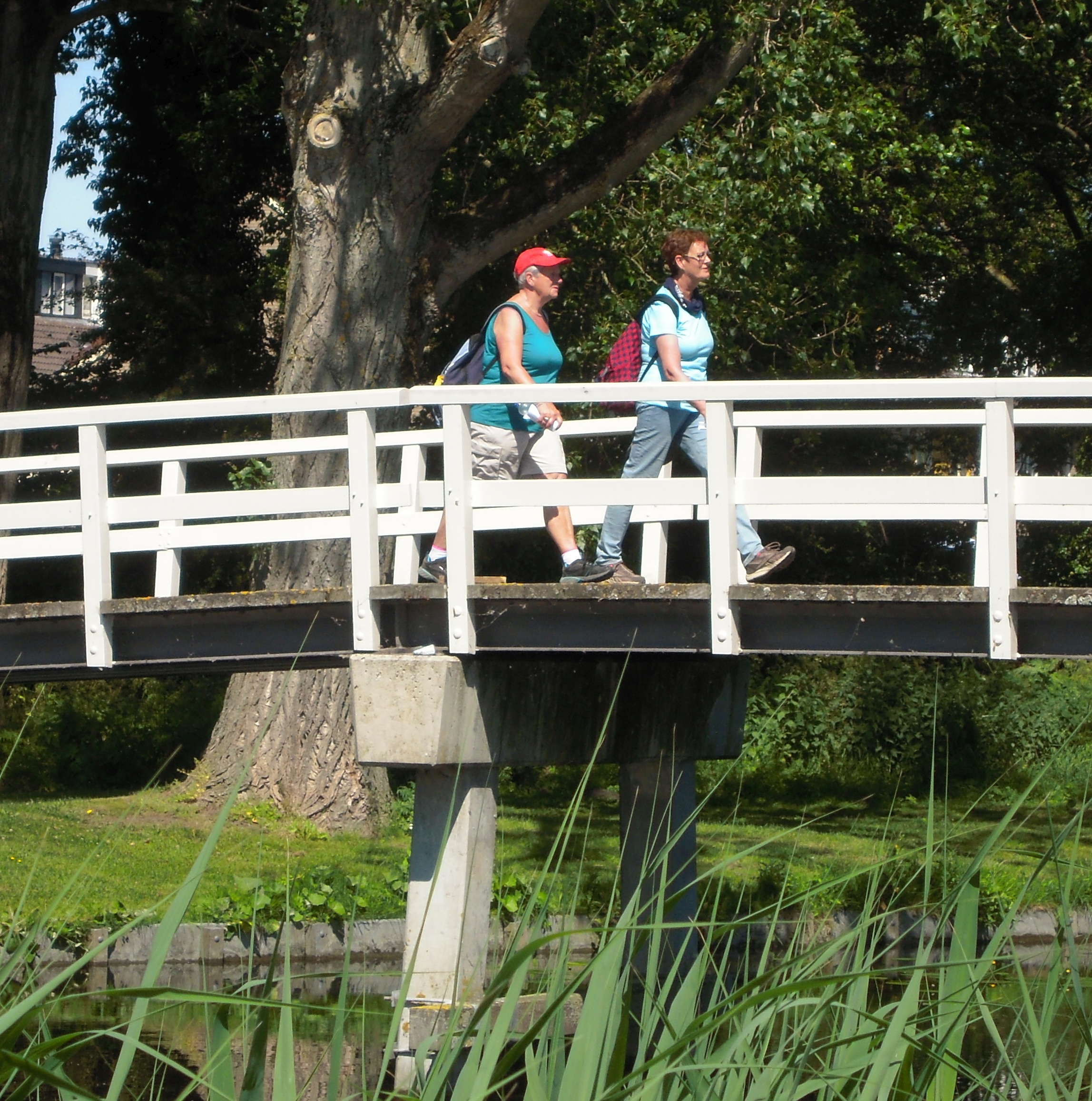 Wandel4daagse Haarlem voor de 7e keer